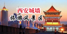 高清操逼电影中国陕西-西安城墙旅游风景区